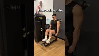 Lower back technogym backworkout gymexercises gymworkout gym bodybuilding [upl. by Kowalski275]