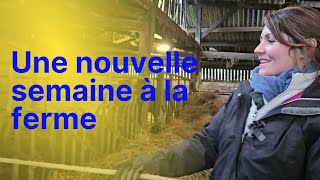 notre quotidien déleveurs 2 24 une nouvelle semaine à la ferme [upl. by Jacquelyn]