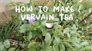 Vervain Bush Tea  How to make Vervain Tea vervaintea vervine vervain [upl. by Nuawaj823]