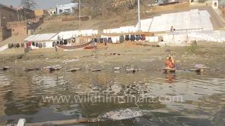 Washing laundry in the sacred Ganga  Varanasi [upl. by Ijan]