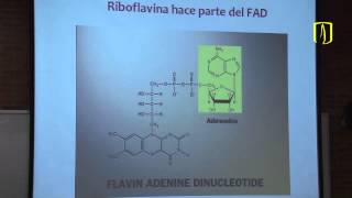 Vitaminas  Carlos Mendivil  Bioquímica Médica [upl. by Ahsael]