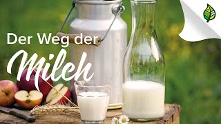 Der Weg der MILCH in Österreich  Teaser [upl. by Alabaster]