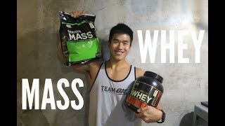 WHEY PROTEIN or MASS GAINER Tips for Beginner [upl. by Swann]