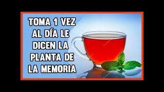 👉Hierbabuena y Limón para la Memoria el Mal Aliento y mucho más [upl. by Bernardine560]