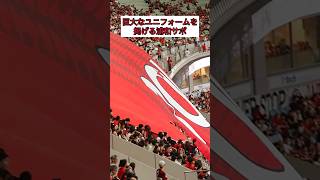 巨大なユニフォームを掲げる浦和サポ shorts urawareds 浦和レッズ jリーグ [upl. by Av394]