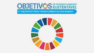 O que é a Agenda 2030 [upl. by Enirhtak]