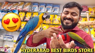 Best Price Birds Shop in Hyderabad  Best Quality Birds Store [upl. by Candyce]