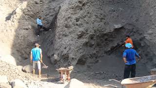 Watch as miners very carefully and vigilantly knock black sand from the cliffs [upl. by Anihcak]