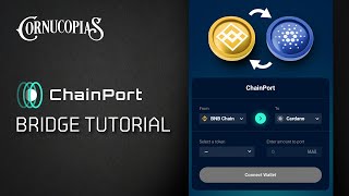 Chainport Token Bridge  How to bridge COPI from BSC to Cardano [upl. by Genna]