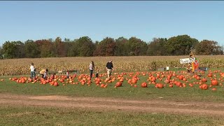 Fall fun at Rohrbach Farm [upl. by Lyj]