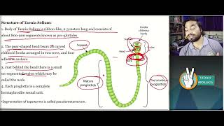 Taenia solium Structure and Life cycle [upl. by Mastat220]