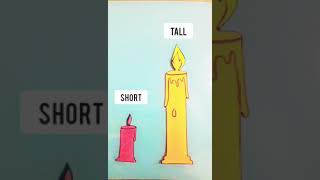 Concept of TallShortkindergarten mathsconcept kidsvideo learningactivities shorts new viral [upl. by Melvena179]