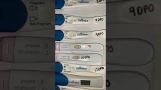 Pregnancy test line progression CLEAR BLUE [upl. by Mayce380]