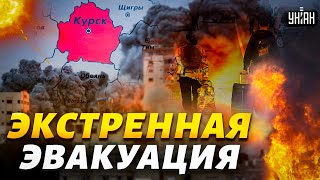 🔥Экстренная ЭВАКУАЦИЯ в Курске и Белгороде Добровольцы открывают ОГОНЬ [upl. by Sigismondo]