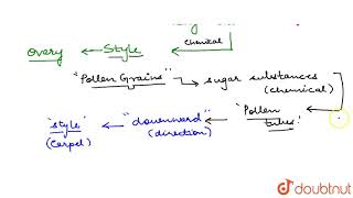 RESPONSE OF PLANTS TO CHEMICAL CHEMOTROPISM [upl. by Hanway]