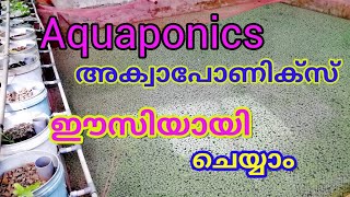 aquaponics aquaponics ഈസിയായി വീട്ടിൽ ചെയ്യാം മീനും പച്ചക്കറികളും കൃഷി [upl. by Richard]