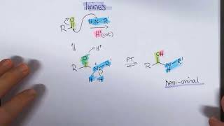 Chem 2 Imines and Enamines [upl. by Piero]