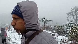 From bangladesh exploring sikkim 2023 11 [upl. by Russia]