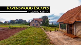 Ravenswood Escapes Tigoni  Experience Peaceful Luxury  360 VR 4K [upl. by Avehstab313]