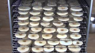 Weston 10 Tray Stainless Steel Dehydrator Overview amp Demonstration drying Apples [upl. by Isobel]