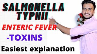 SALMONELLA TYPHI MICROBIOLOGY ENTERIC FEVER  Typhoid fever  Salmonella microbiology [upl. by Ttemme475]