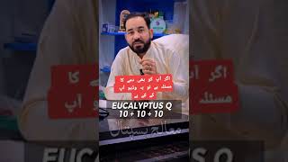 Dr Amjad Ali Shah  Mualij Homeopathic Hospital viralvideo homeophaticmedicine unfreezemyacount [upl. by Yesnik]