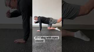 Kinesthesia enhancing eyes closed bird dog exercise ￼ [upl. by Colombi255]