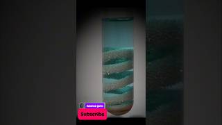 🧙Reaction of copper with silver nitrate  wonderfull experiment science experiment shprt flp [upl. by Goldshlag]