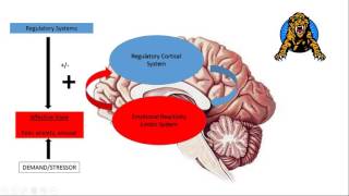 Webinar Strengthening Executive Functioning Skills in the Classroom [upl. by Wood]