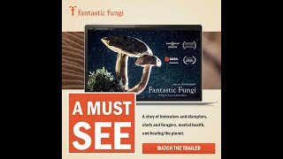 Fantastic Fungi Trailer [upl. by Crissy]