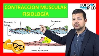 CONTRACCIÓN MUSCULAR FISIOLOGÍA GUYTON explicada FACIL ✅ [upl. by Myrtice]