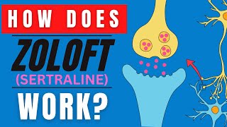 HOW DOES ZOLOFT WORK SERTRALINE MEDICATION FUNCTION EXPLAINED [upl. by Faustine]