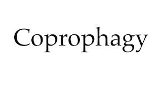 How to Pronounce Coprophagy [upl. by Doyle]