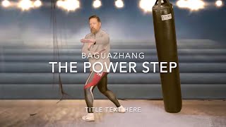 Baguazhang  The Power Step [upl. by Northrop392]