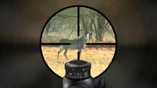 Leupold VX 3 Custom Dial System [upl. by Enamrahc]