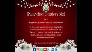 NAVIDAD SOSTENIBLE 2024 TIP 1 [upl. by Monjo]