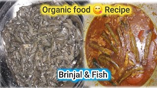 No Masala Brinjal amp Fish curry  urla Chongpreng [upl. by Redlac]