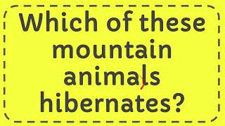 Which of these mountain animals hibernates [upl. by Oicnerolf700]