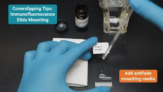 Immunofluorescence Slide Mounting Tips for Coverslipping [upl. by Malinda]