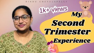 My Second Trimester Journey  Pregnancy Series  Bindu Chevulapelli [upl. by Alethia]