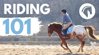 HOW TO RIDE A HORSE EASY BEGINNERS GUIDE [upl. by Standing]