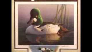 Duck Stamp Art [upl. by Laersi]