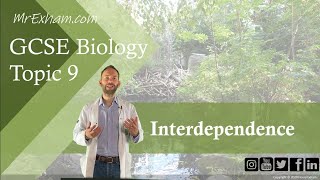 Interdependence  GCSE Biology 91 93 [upl. by Eugeniusz]