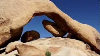 Joshua Tree National Park [upl. by Shantee998]