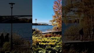 Fall Stockholm Kungsholmen 🇸🇪🍁sweden stockholm walkingtour kungsholmen fall walking autumn [upl. by Odnaloy755]