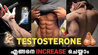 Testosterone 🍆 🧬Level Increase Naturally  Malayalam 🔱🔥 [upl. by Hgielek84]