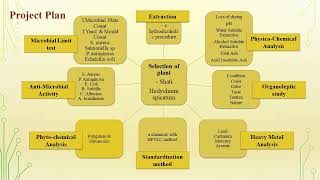 Standardisation and Antimicrobial Activity of Hedychium spicatum Shati [upl. by Tertias]