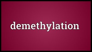 Demethylation Meaning [upl. by Gish]