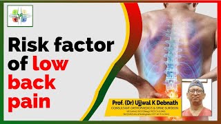 Risk factors for low back pain I ProfDr Ujjwal K Debnath [upl. by Limak895]