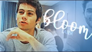 bloom later • dylan obrien [upl. by Zolly82]